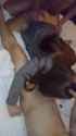 whimper a72c8e06_thumb.jpg