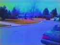 Columbine_thumb.jpg