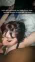 1716175479727219_thumb.jpg