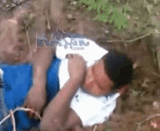 917162b4bd3dd569329d48a5ee3f0f44-imagegif