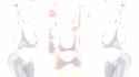 New Project65656_thumb.jpg