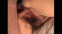 bush_thumb.jpg