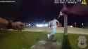 2024-06-21 - Tampa police tased man, then he&#039;s hit and killed by passing motorist who fled the scene_thumb.jpg