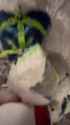 VID_20250702_191608_075_thumb.jpg