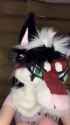 VID_20250524_114740_383_thumb.jpg