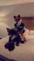 VID_20231219_155502_602_thumb.jpg