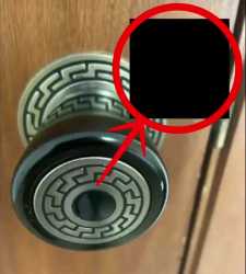 Thread 29078825 OP Image