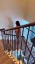 Video_20250627104001197_by_Filmix_thumb.jpg