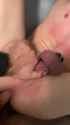 1714194396474136_thumb.jpg