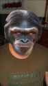 flartmonke_thumb.jpg