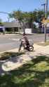 Bike-stunt-over-a-kiddie-pool_thumb.jpg