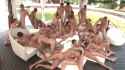 VID_20250704_184040_872_thumb.jpg