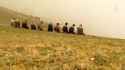 islam-1301083473_thumb.jpg