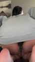 LightheartedIdioticCoqui_thumb.jpg