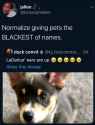 How Very Squamous_thumb.jpg