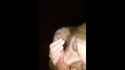 1751703942823640_thumb.jpg
