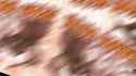 so1k1OcjFRN-z-0-y-67c21b376dca6e7eaf3c0fbd (1) (1)_thumb.jpg