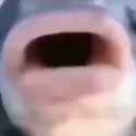 1749504474832811_thumb.jpg