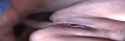 Fat Fantastic_thumb.jpg