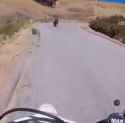 moto12_thumb.jpg