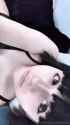 1737136510309_thumb.jpg