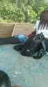 VID-20250705-WA0003_thumb.jpg
