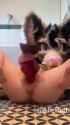 1674815693038451_thumb.jpg