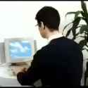 wild world web_thumb.jpg