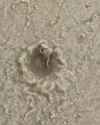 CrabInventsRomanArquitecture_thumb.jpg