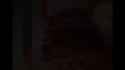 17288635911298645_thumb.jpg