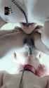 Leash2(1)_thumb.jpg