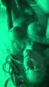 Envy (1) [envy-67266-1]_thumb.jpg