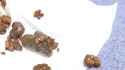 JP Fetish Merchant - Akiko Golden Nuggets - 04_thumb.jpg