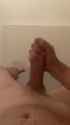 CluelessWhitesmokeSnoutbutterfly_thumb.jpg
