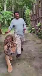 201 wsg - india thread - Worksafe GIF - 4chan_thumb.jpg