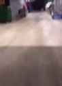 man gets chased by grizzly bear_thumb.jpg