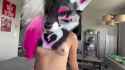 VID_20240826_204606_379_thumb.jpg