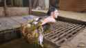 manurefetish-presents-kaitlyn-katsaros-wild-in-manure_3_thumb.jpg