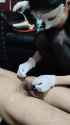 chinese femdom needle poke_thumb.jpg