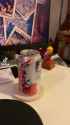 pet_bird_playing_around-eizn0hf70hv91-360-1_thumb.jpg