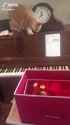 cat_on_piano_thumb.jpg