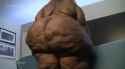 Ass jiggle and clap - Chocolate Pear Doggie Jiggle N Toy ft. audio_thumb.jpg