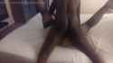 Lynsey, sexy UK MILF Slut (1)_thumb.jpg