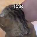 car_thumb.jpg