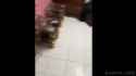 5483fe5b6e_thumb.jpg