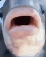 fishlips-1395712843