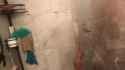 Daisy Taylor Sucks Cock &amp; Gets Fucked In the Shower Then Takes A Facial_thumb.jpg