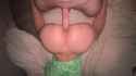 1738606420884299_thumb.jpg