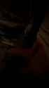 Snapchat-453904405_thumb.jpg