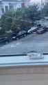 catalytic-converter-thieves_thumb.jpg
